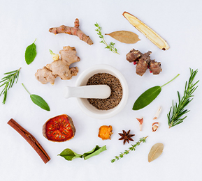 釋放植物力量，實現(xiàn)植物功能成分風(fēng)味優(yōu)化及多維度功能覆蓋